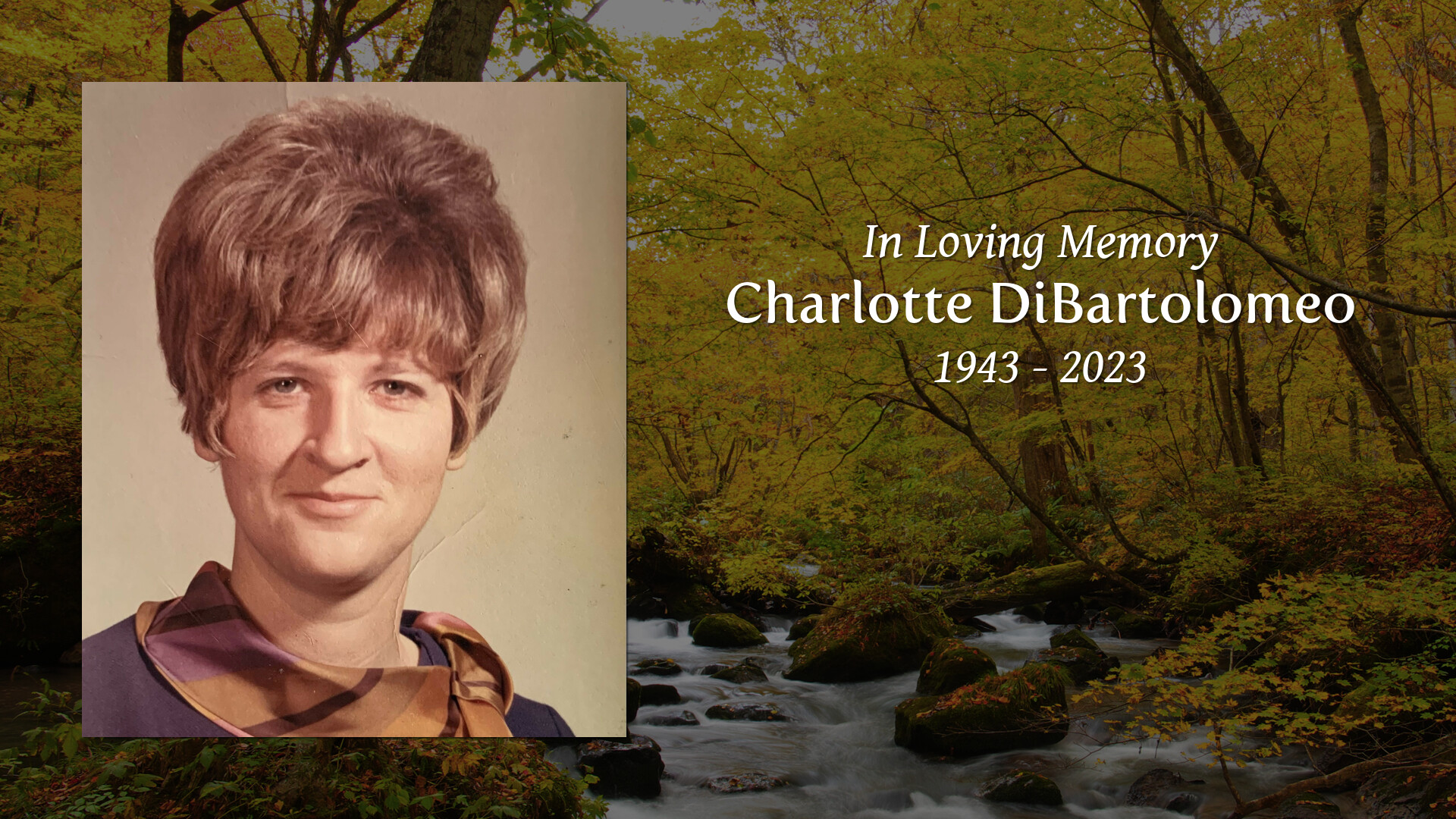 Charlotte DiBartolomeo - Tribute Video