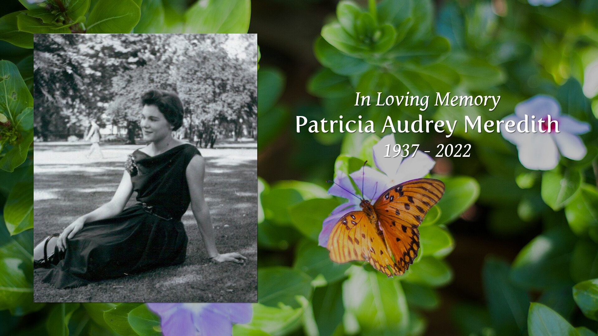 Patricia Audrey Meredith - Tribute Video