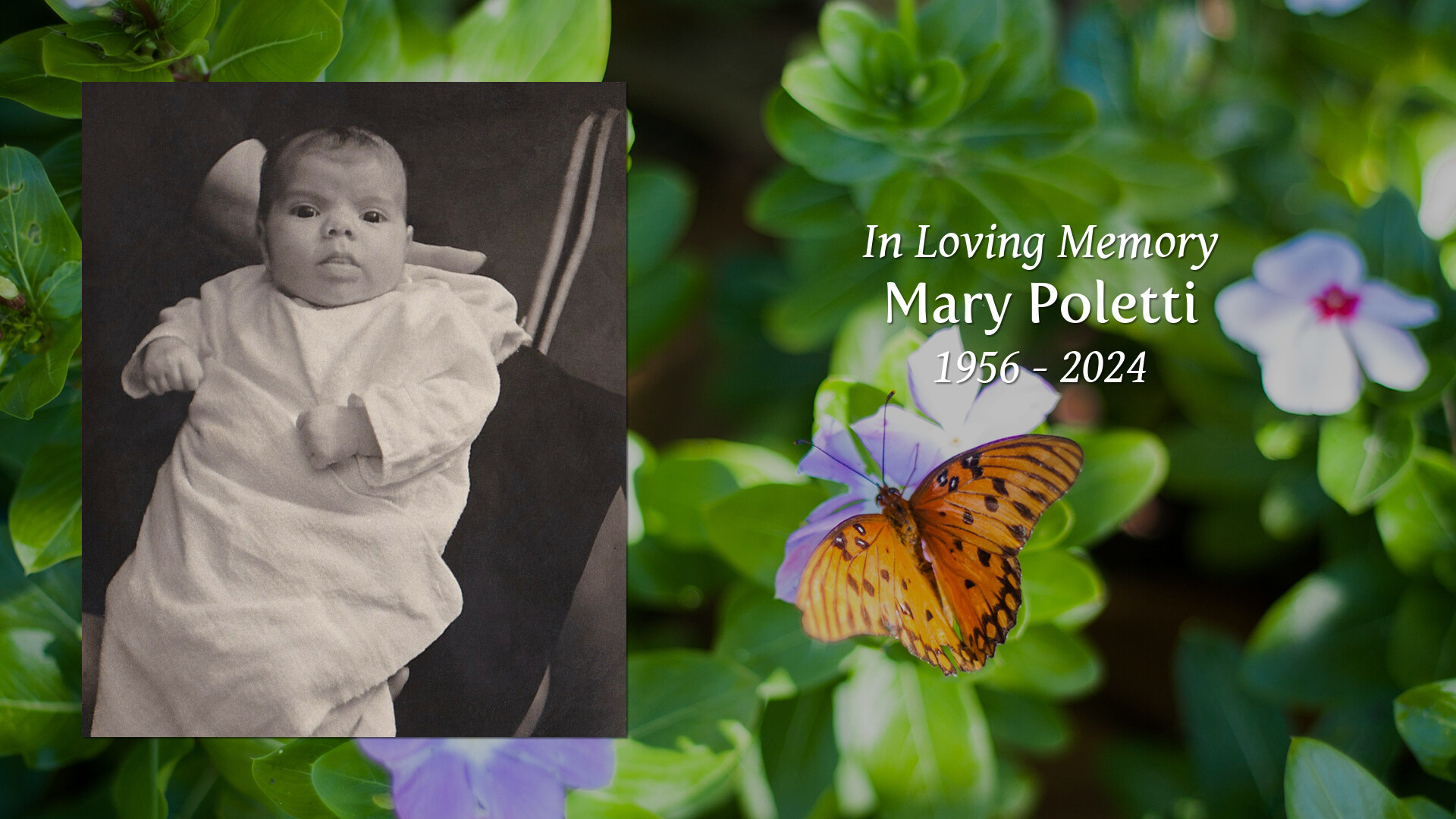 Mary Poletti - Tribute Video