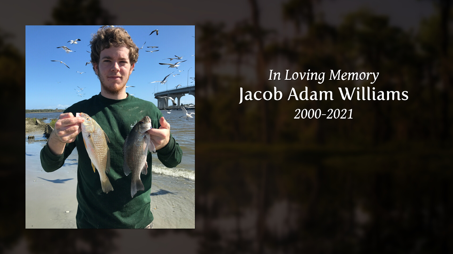 Jacob Adam Williams Tribute Video